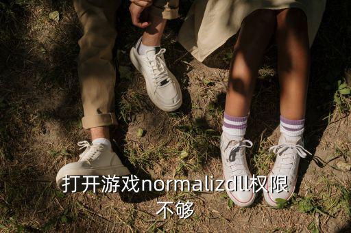 打开游戏normalizdll权限不够