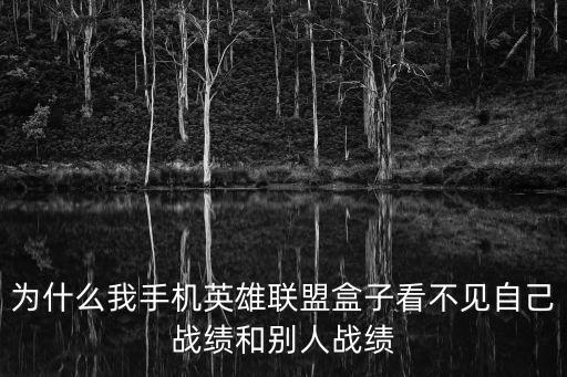 为什么我手机英雄联盟盒子看不见自己战绩和别人战绩