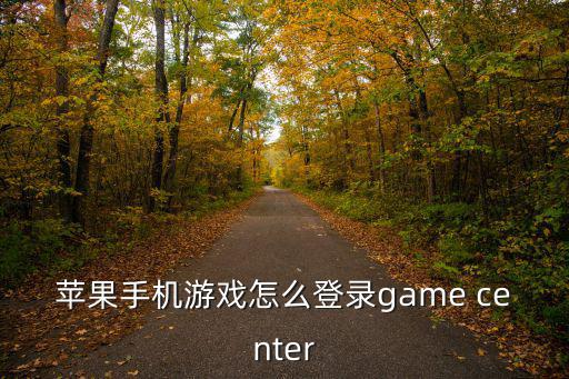 ios 英雄联盟手游怎么登陆，怎么在苹果IPAD上玩英雄联盟