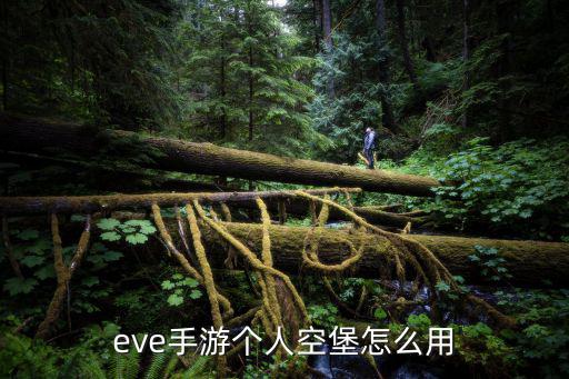 eve手游个人空堡怎么用