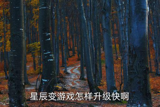 星辰变游戏怎样升级快啊