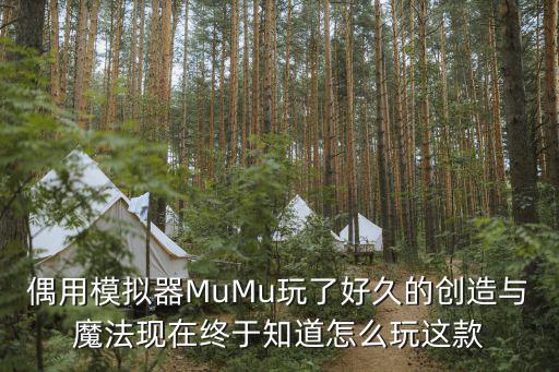 偶用模拟器MuMu玩了好久的创造与魔法现在终于知道怎么玩这款