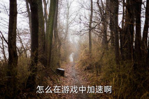 岛风go手游怎么加速，怎么在游戏中加速啊