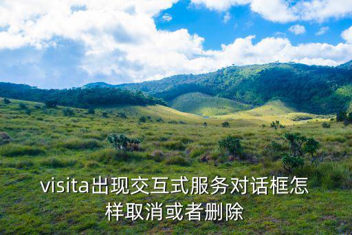 visita出现交互式服务对话框怎样取消或者删除