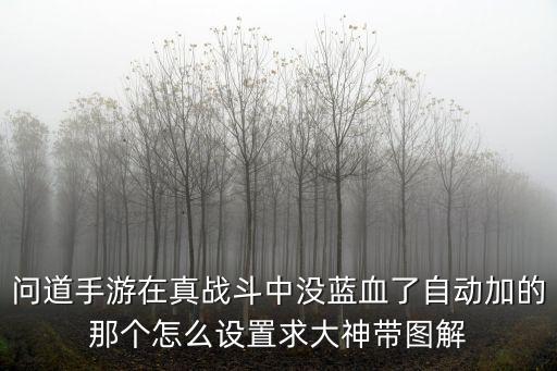 问道手游在真战斗中没蓝血了自动加的那个怎么设置求大神带图解