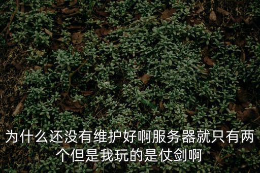 为什么还没有维护好啊服务器就只有两个但是我玩的是仗剑啊
