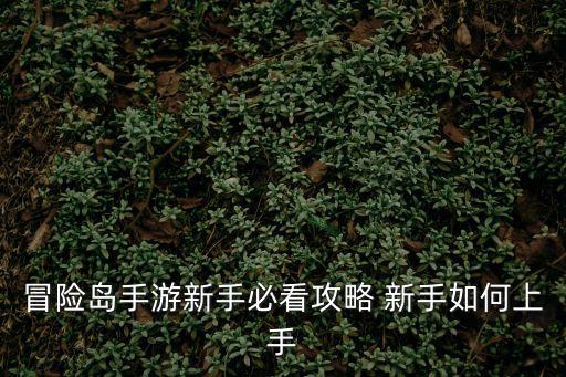 冒险岛手游新手必看攻略 新手如何上手