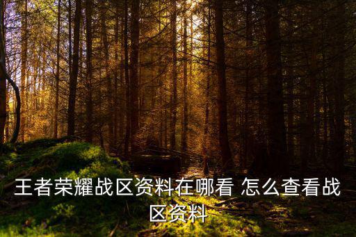 王者荣耀战区资料在哪看 怎么查看战区资料