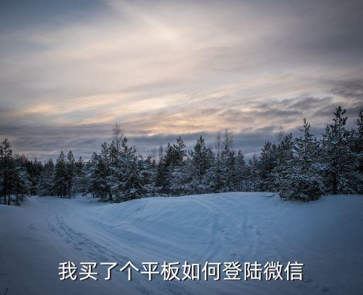 我买了个平板如何登陆微信