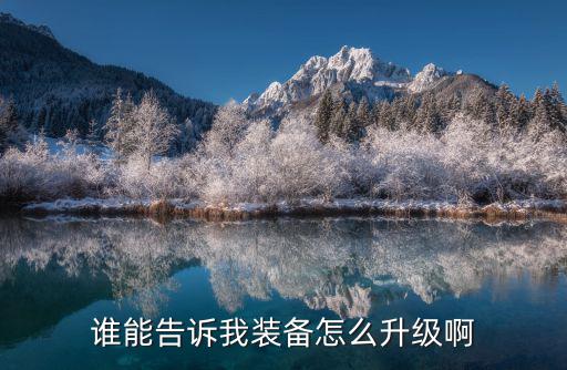 谁能告诉我装备怎么升级啊