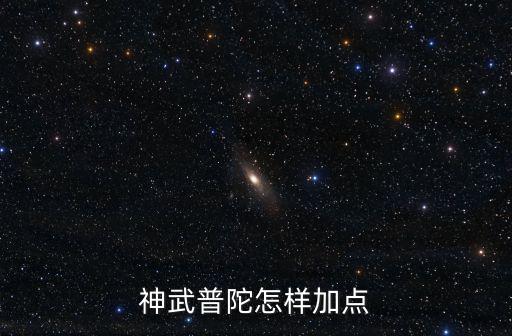 神武4手游普陀人物怎么加点，神武普陀怎样加点