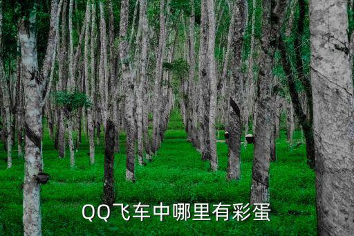 手游飞车怎么找彩蛋，QQ飞车中哪里有彩蛋