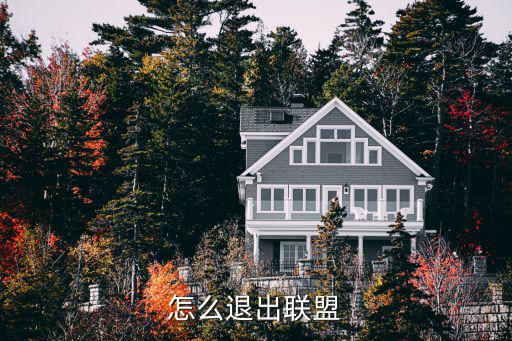 怎么退出联盟