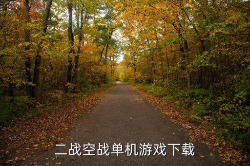 二战空战手游怎么下载国际服，二战空战单机游戏下载