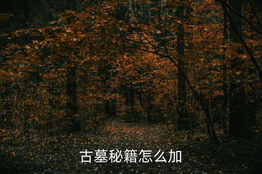 问道手游古墓迷宫秘籍怎么用，古墓秘籍怎么加