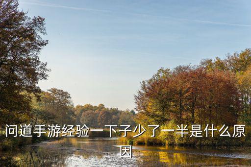 问道手游经验一下子少了一半是什么原因