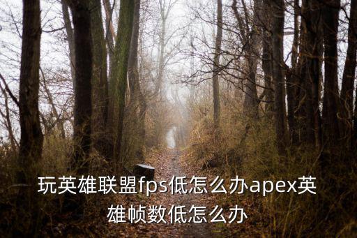 玩英雄联盟fps低怎么办apex英雄帧数低怎么办