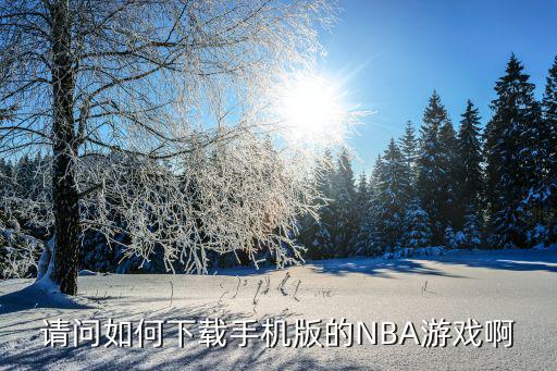 请问如何下载手机版的NBA游戏啊