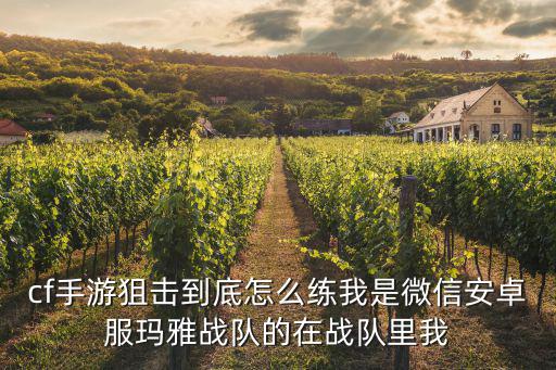 cf手游狙击到底怎么练我是微信安卓服玛雅战队的在战队里我
