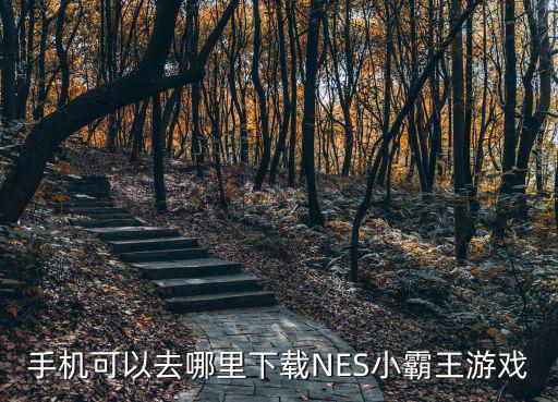 手机可以去哪里下载NES小霸王游戏