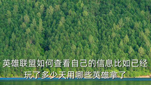 英雄联盟如何查看自己的信息比如已经玩了多少天用哪些英雄拿了