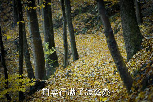 拍卖行满了怎么办