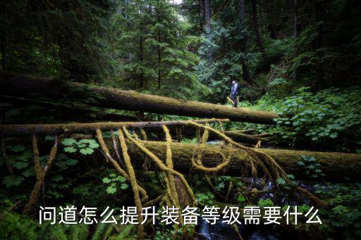 问道怎么提升装备等级需要什么