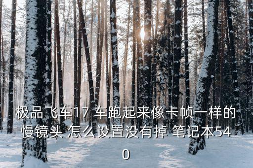 极品飞车17 车跑起来像卡帧一样的慢镜头 怎么设置没有掉 笔记本540