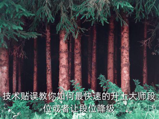 技术贴误教你如何最快速的升上大师段位或者让段位降级