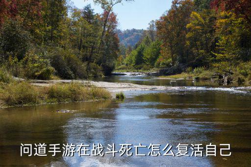 问道手游复活技能怎么获得，问道游戏中复活的技能怎样获得