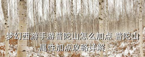 梦幻西游手游普陀山怎么加点 普陀山属性加点攻略详解