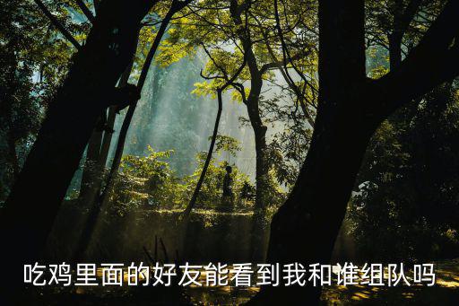 吃鸡手游怎么查别的队伍，怎么查看其他战队信息