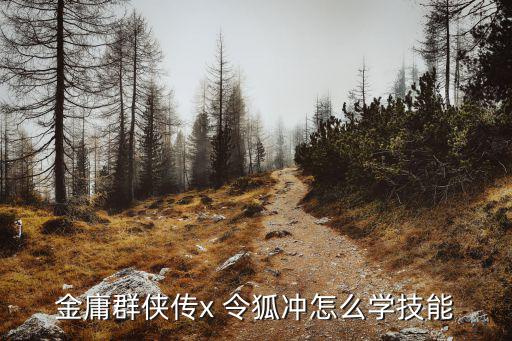 手游金庸群侠传怎么学习武功，金庸群侠传x 令狐冲怎么学技能
