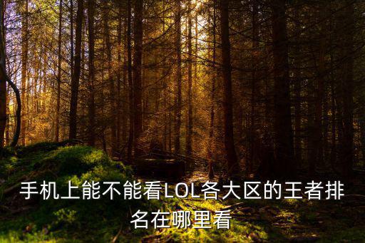 手机上能不能看LOL各大区的王者排名在哪里看