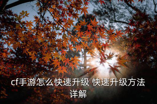 cf手游怎么快速升级 快速升级方法详解