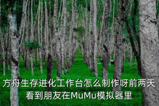 方舟生存进化工作台怎么制作呀前两天看到朋友在MuMu模拟器里