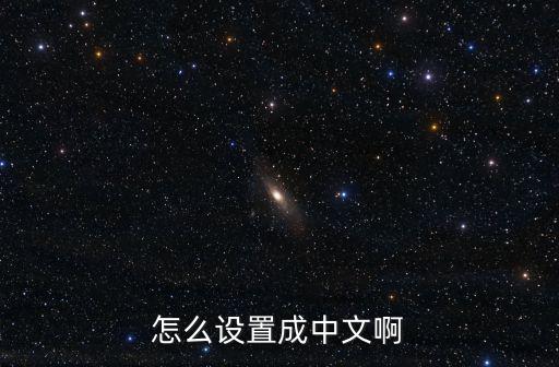 怎么设置成中文啊