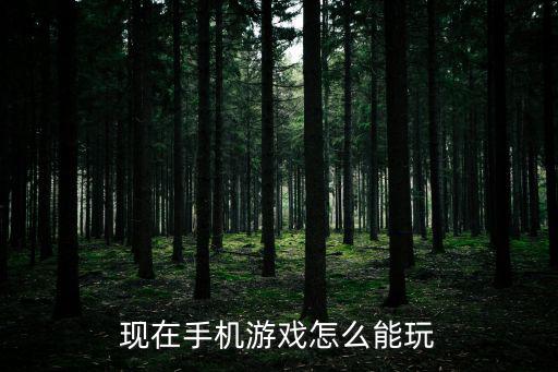 现在手机游戏怎么能玩