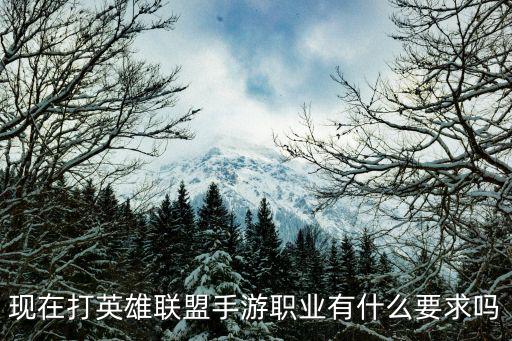 现在打英雄联盟手游职业有什么要求吗