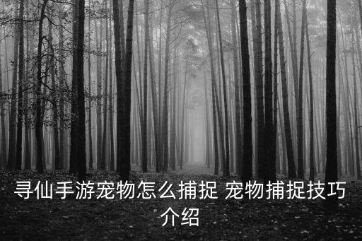寻仙手游宠物怎么捕捉 宠物捕捉技巧介绍