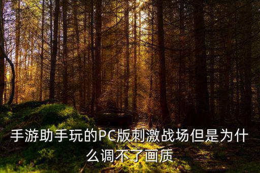 手游助手玩的PC版刺激战场但是为什么调不了画质