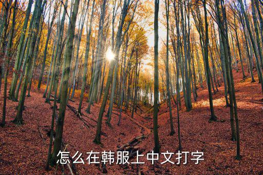 怎么在韩服上中文打字