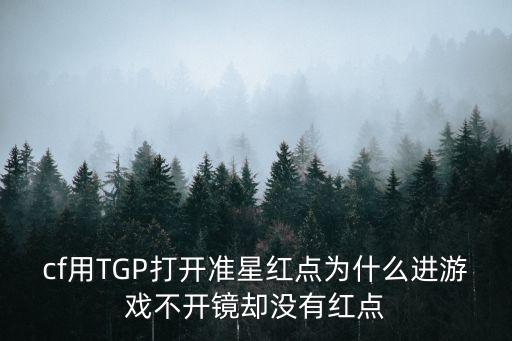 cf用TGP打开准星红点为什么进游戏不开镜却没有红点