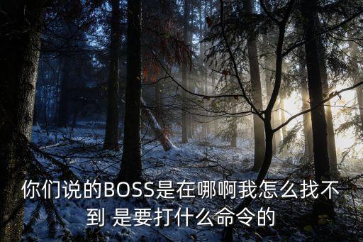 你们说的BOSS是在哪啊我怎么找不到 是要打什么命令的