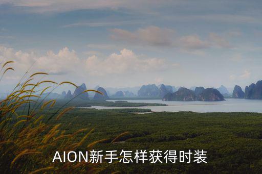 AION新手怎样获得时装