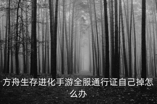 方舟生存进化手游全服通行证自己掉怎么办