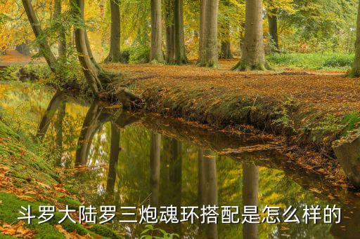 斗罗大陆罗三炮魂环搭配是怎么样的
