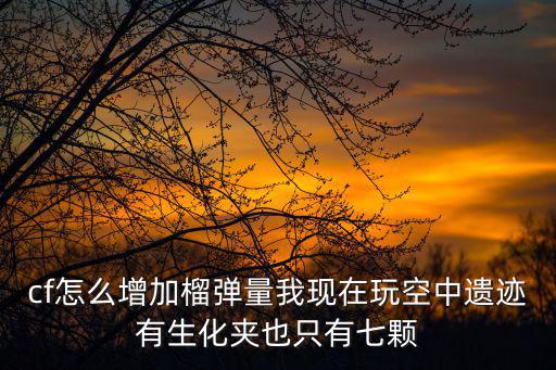 cf怎么增加榴弹量我现在玩空中遗迹有生化夹也只有七颗