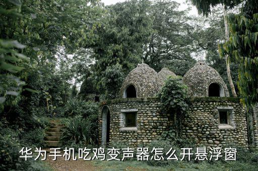 华为手机吃鸡变声器怎么开悬浮窗