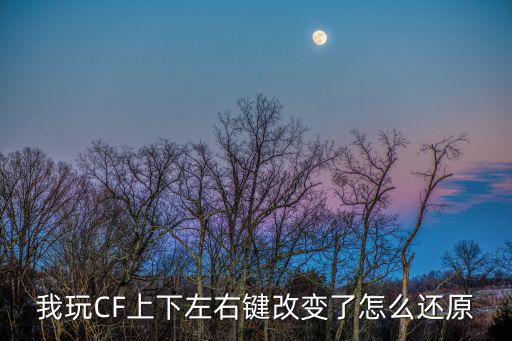 cf手游两侧按键怎么改了，我玩CF上下左右键改变了怎么还原